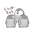 ぺんぎんの日々（個別スタンプ：37）