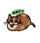 うちのミケねこ（個別スタンプ：12）