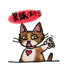 うちのミケねこ（個別スタンプ：28）