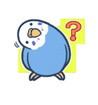 セキセイインコだらけ（個別スタンプ：11）