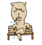 Mr. Alpaca（個別スタンプ：6）