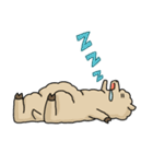 Mr. Alpaca（個別スタンプ：8）