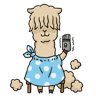 Mr. Alpaca（個別スタンプ：24）