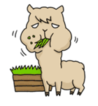 Mr. Alpaca（個別スタンプ：27）