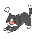Cat Bros（個別スタンプ：15）