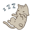 Cat Bros（個別スタンプ：17）