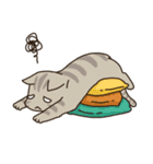 Cat Bros（個別スタンプ：27）