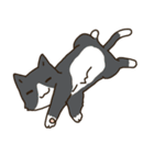 Cat Bros（個別スタンプ：28）