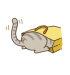 Cat Bros（個別スタンプ：37）
