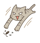 Cat Bros（個別スタンプ：40）