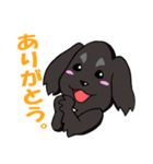 愛犬ジャズの日常 2（個別スタンプ：1）