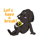愛犬ジャズの日常 2（個別スタンプ：10）