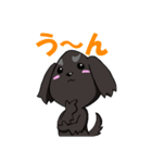 愛犬ジャズの日常 2（個別スタンプ：11）