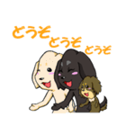 愛犬ジャズの日常 2（個別スタンプ：34）