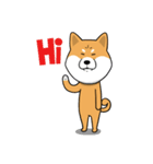 The Dogs - Shiba Inu 'Rui'（個別スタンプ：1）