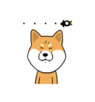 The Dogs - Shiba Inu 'Rui'（個別スタンプ：4）