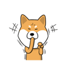 The Dogs - Shiba Inu 'Rui'（個別スタンプ：9）