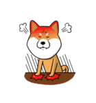 The Dogs - Shiba Inu 'Rui'（個別スタンプ：12）