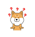 The Dogs - Shiba Inu 'Rui'（個別スタンプ：14）