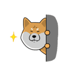 The Dogs - Shiba Inu 'Rui'（個別スタンプ：15）