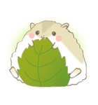 ハムすび（個別スタンプ：23）