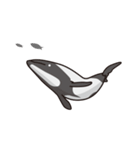 イルカくんとクジラくん（個別スタンプ：13）