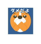 コーギーの窓（個別スタンプ：4）