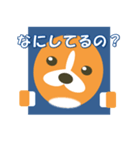 コーギーの窓（個別スタンプ：6）