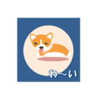 コーギーの窓（個別スタンプ：13）
