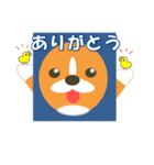 コーギーの窓（個別スタンプ：14）