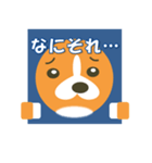 コーギーの窓（個別スタンプ：30）