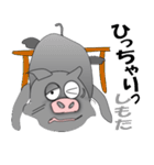 鹿児島の黒豚 （ かごしま弁 日常会話編 )（個別スタンプ：34）