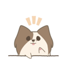 Mogu's pet-Papillon (Didi)（個別スタンプ：36）