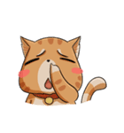 Sumo Cat（個別スタンプ：16）