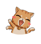 Sumo Cat（個別スタンプ：21）