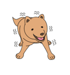 動物着ぐるみ Zooくるみ ウサギのゾンビ編（個別スタンプ：22）