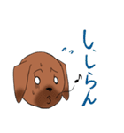 ゆる～い土佐弁スタンプ（個別スタンプ：1）