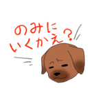 ゆる～い土佐弁スタンプ（個別スタンプ：3）