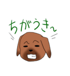 ゆる～い土佐弁スタンプ（個別スタンプ：5）