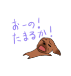 ゆる～い土佐弁スタンプ（個別スタンプ：37）
