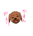 ゆる～い土佐弁スタンプ（個別スタンプ：38）