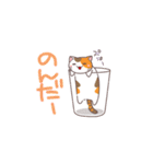 にゃんかま（個別スタンプ：37）