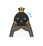 ペンギンキング（個別スタンプ：5）