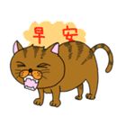 アジアン猫（個別スタンプ：6）