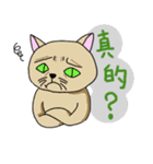 アジアン猫（個別スタンプ：10）