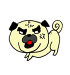 Life of PUG（個別スタンプ：16）