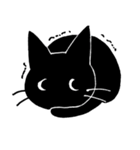 黒猫ピリたん（個別スタンプ：37）