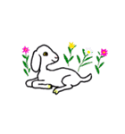 038