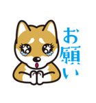 犬種別スタンプ⑧ 柴犬（赤毛）（個別スタンプ：32）