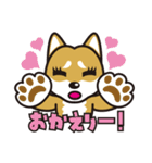 犬種別スタンプ⑧ 柴犬（赤毛）（個別スタンプ：40）